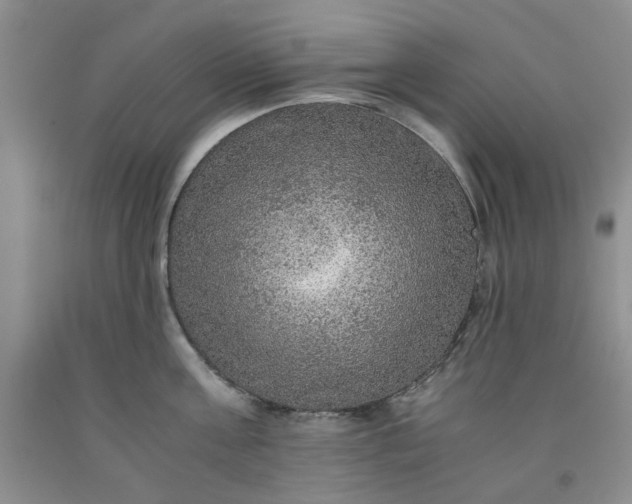 X0000091960811200709201342