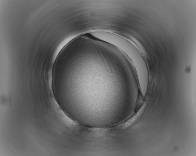 X0000091960812200709201342