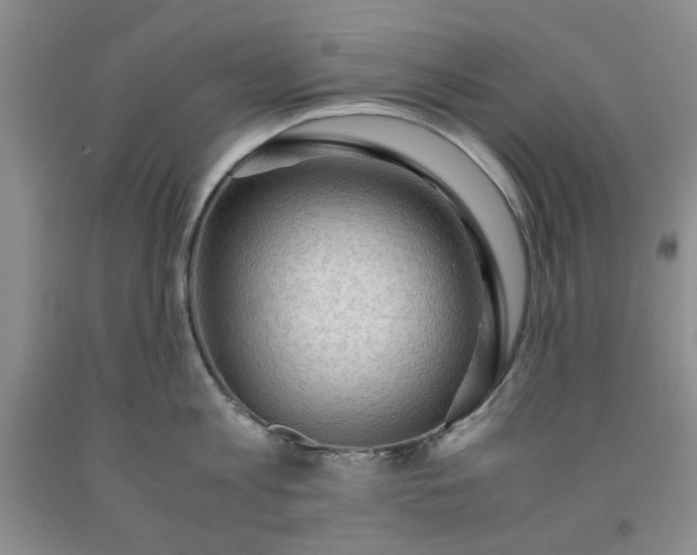 X0000091960813200709201342