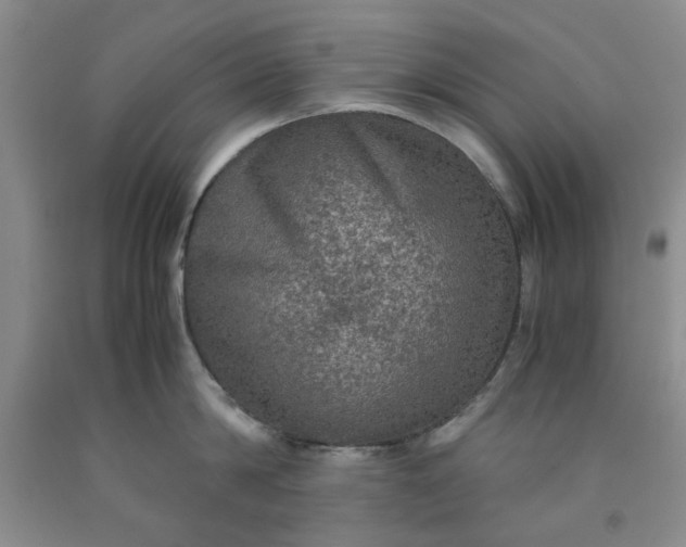 X0000091960814200709201342