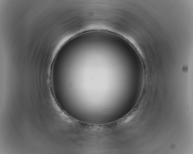 X0000091960815200709201342