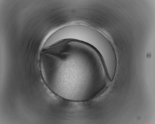 X0000091960816200709201342