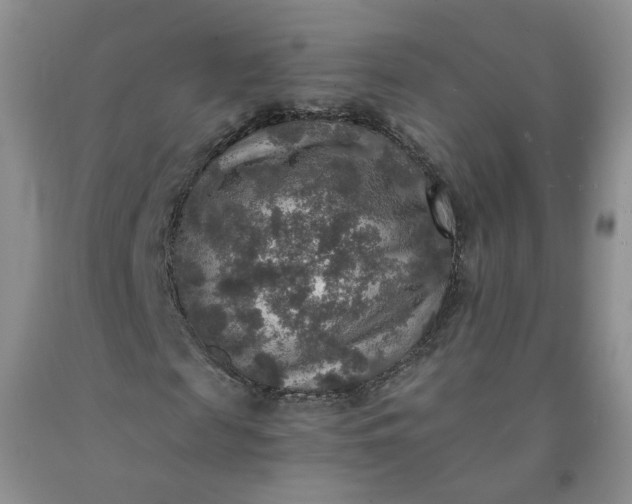 X0000091960817200709201341