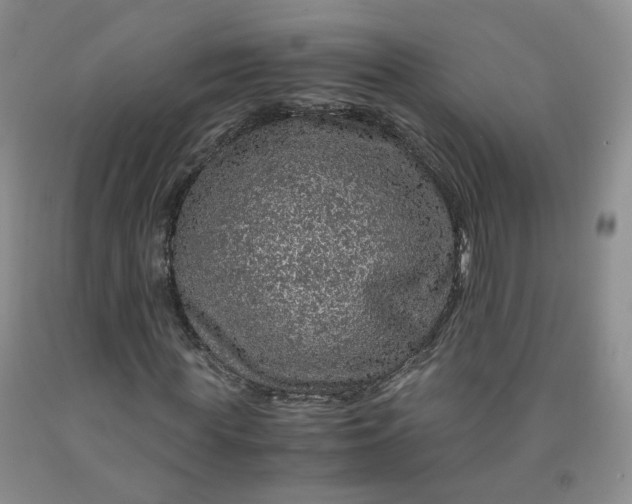 X0000091960819200709201341