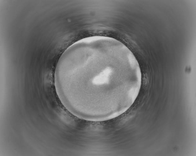 X0000091960820200709201341