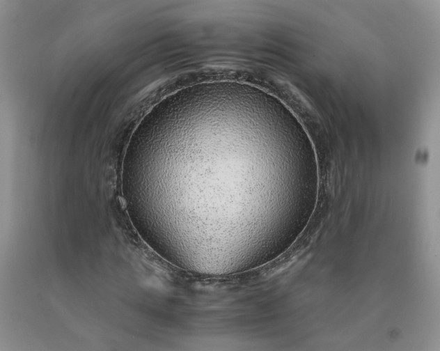 X0000091960821200709201341