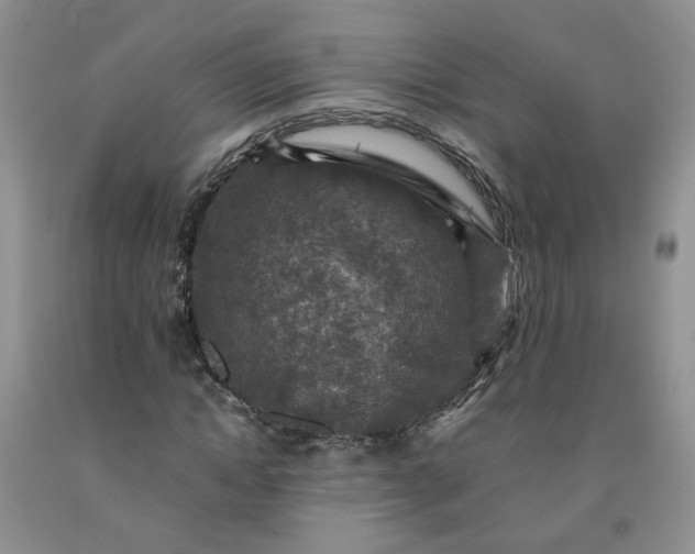 X0000091960822200709201341