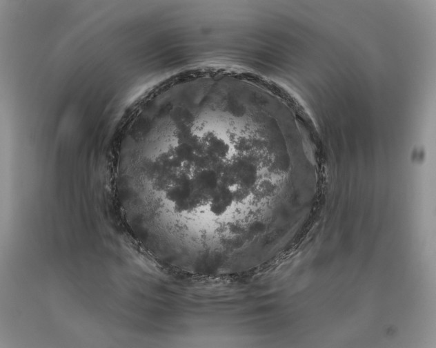 X0000091960823200709201341