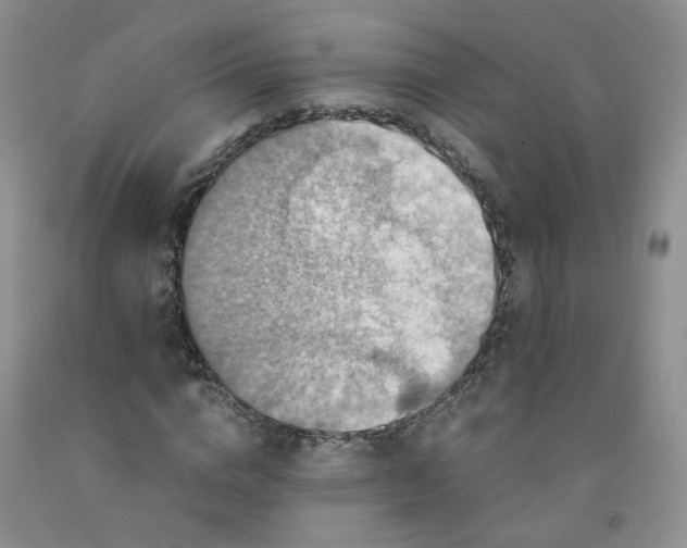 X0000091960824200709201341