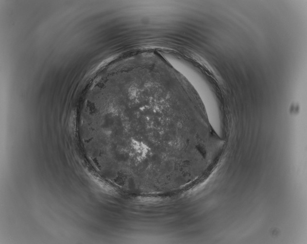 X0000091960825200709201341