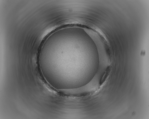 X0000091960826200709201341