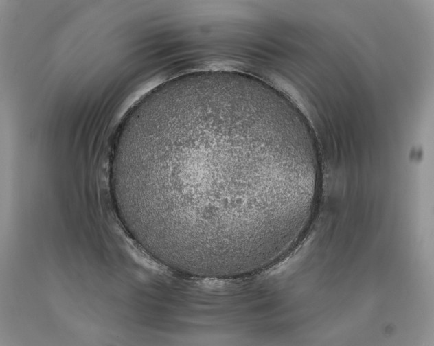 X0000091960827200709201341