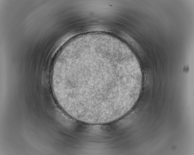 X0000091960828200709201341