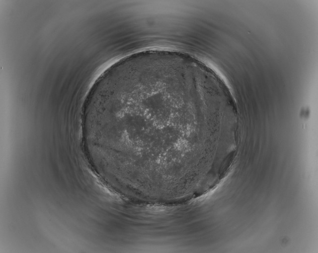 X0000091960829200709201341