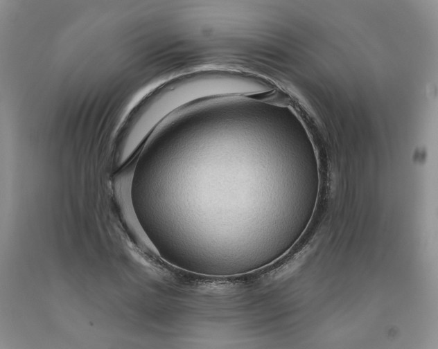 X0000091960830200709201341