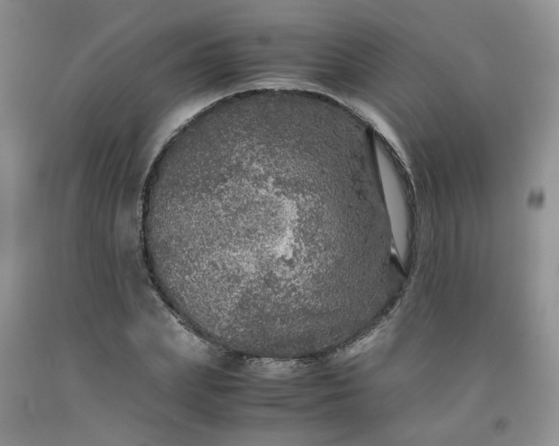 X0000091960831200709201341