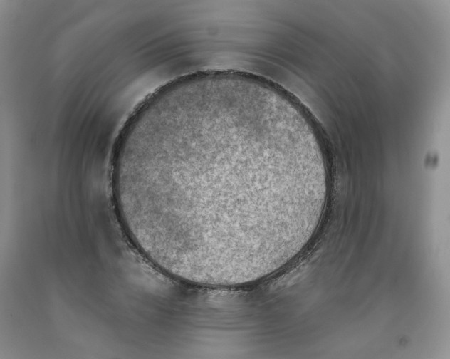 X0000091960832200709201341