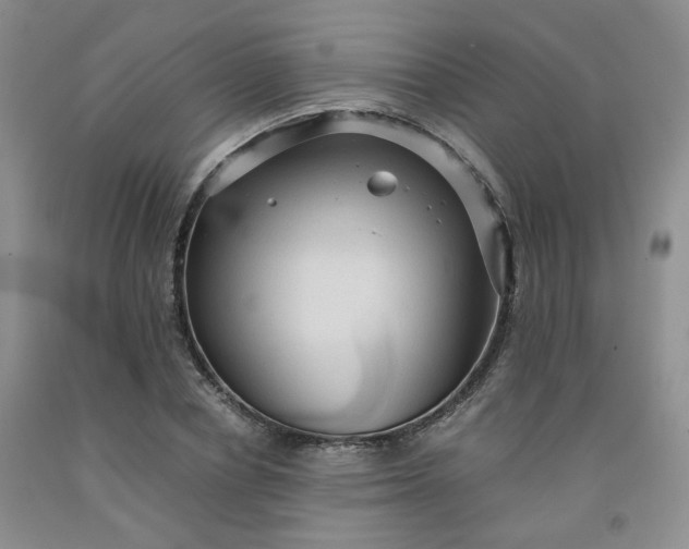 X0000091960834200709201341