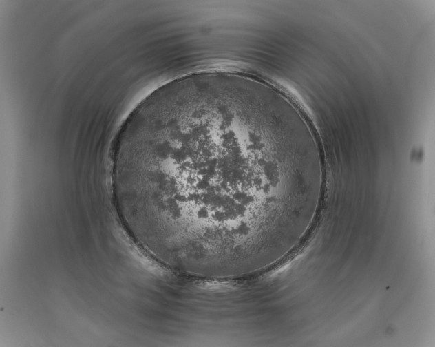 X0000091960835200709201341