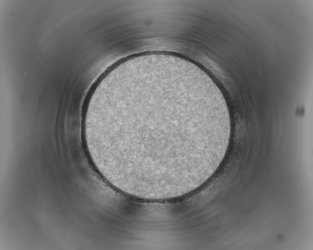 X0000091960836200709201342