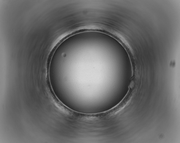 X0000091960837200709201342