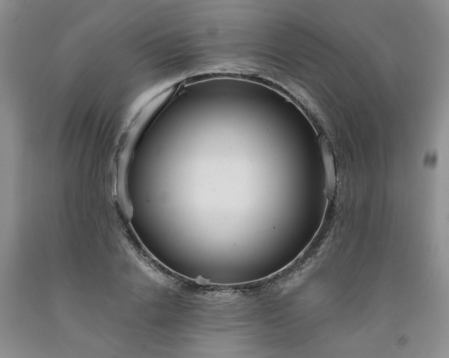 X0000091960838200709201342