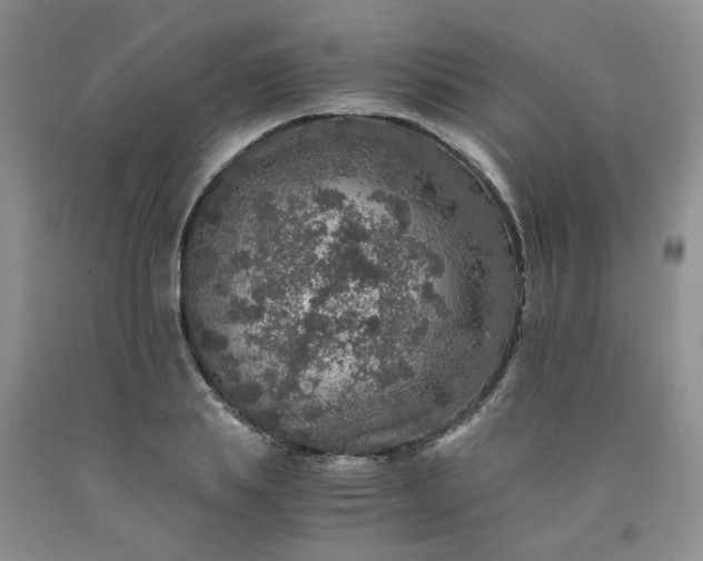 X0000091960839200709201342