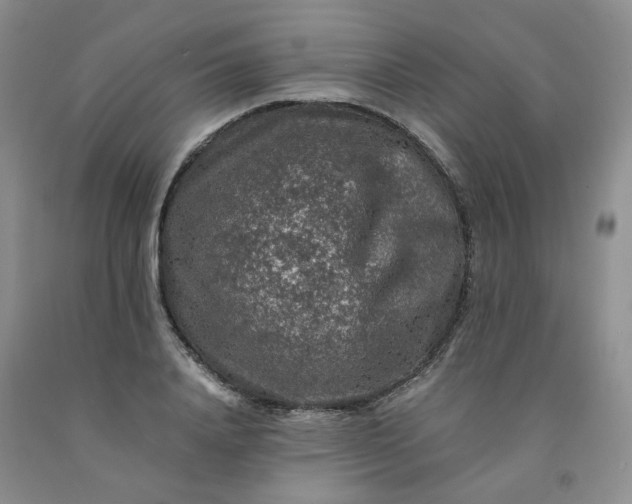 X0000091960840200709201342