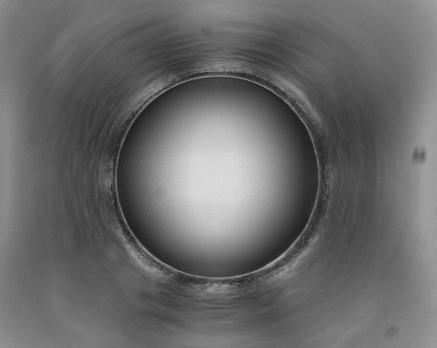 X0000091960841200709201342