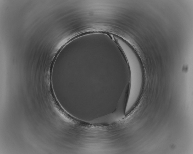 X0000091960842200709201342