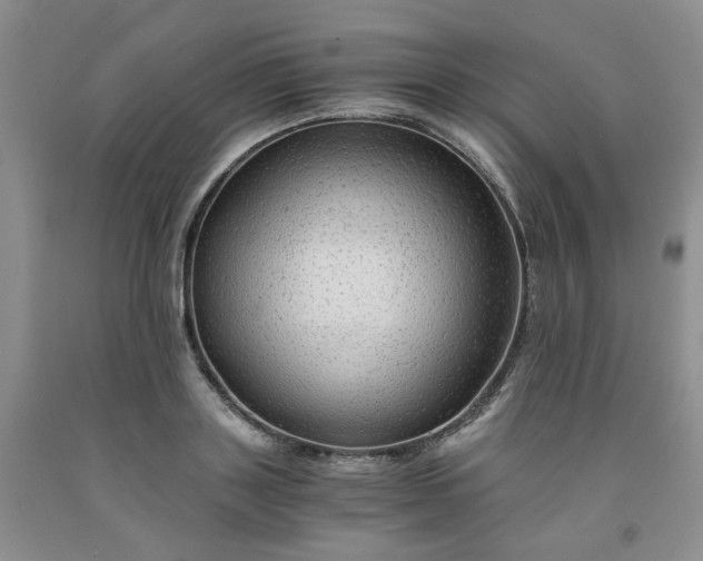 X0000091960843200709201342