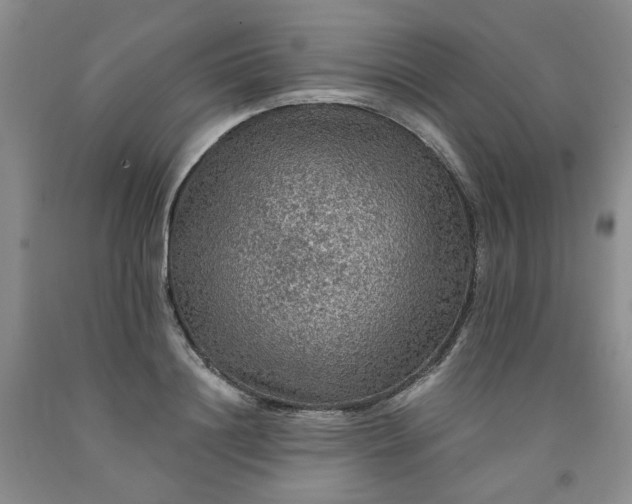 X0000091960844200709201342