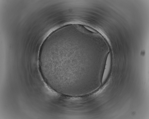 X0000091960845200709201342