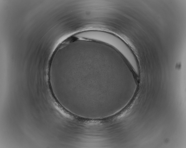 X0000091960846200709201342