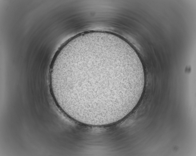 X0000091960848200709201342