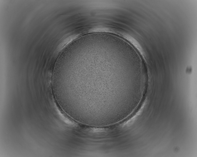 X0000091960849200709201342