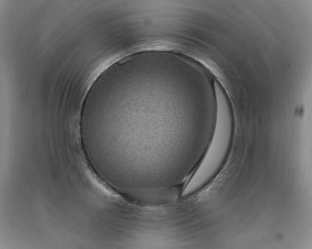 X0000091960850200709201342