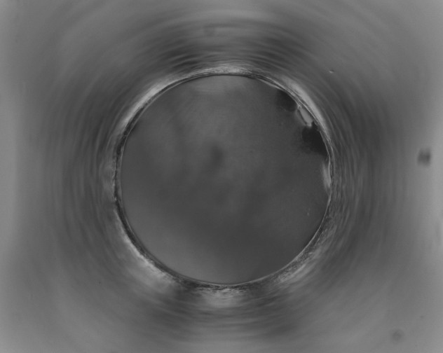 X0000091960851200709201342