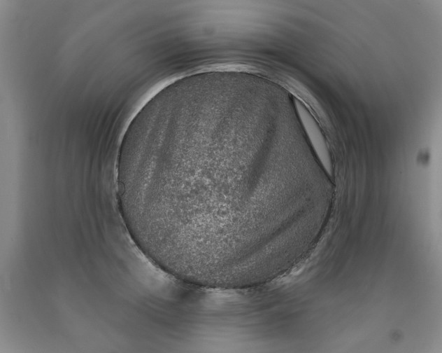 X0000091960852200709201342