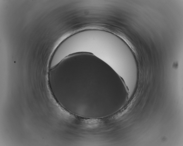 X0000091960853200709201342