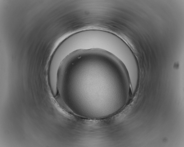 X0000091960854200709201342