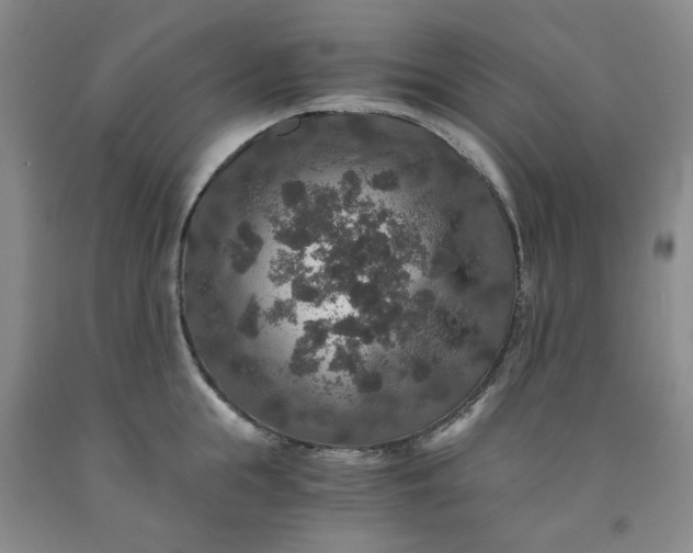 X0000091960855200709201342