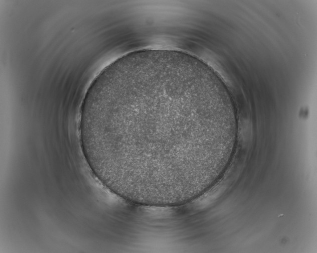 X0000091960856200709201342