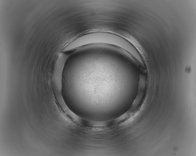 X0000091960857200709201342