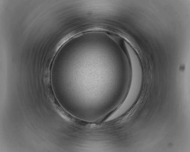 X0000091960858200709201342