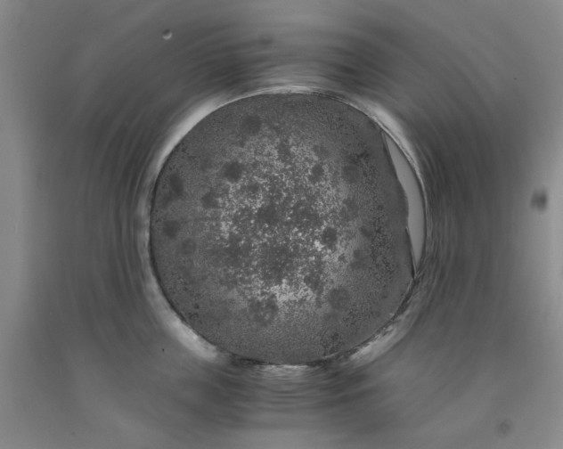 X0000091960859200709201342