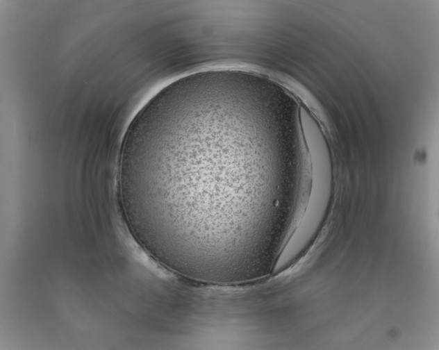 X0000091960860200709201342