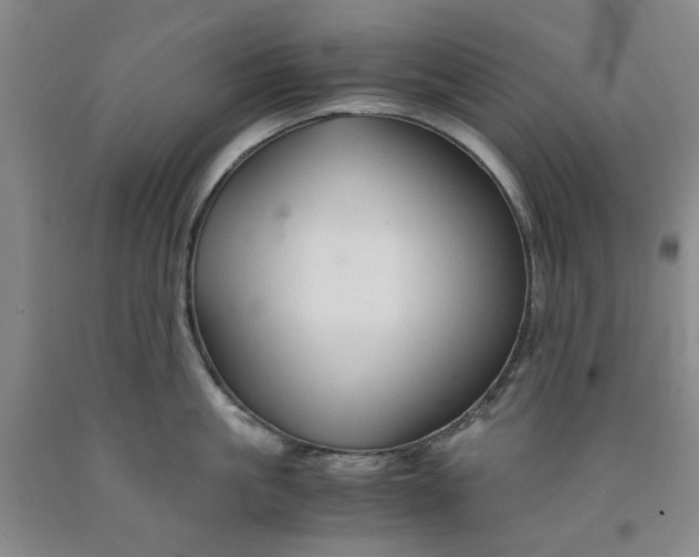 X0000091960861200709201342