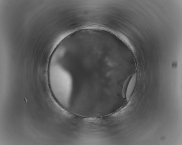 X0000091960863200709201342