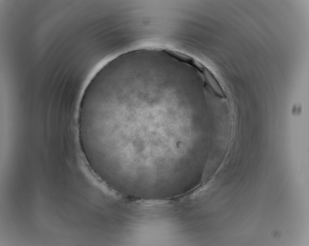 X0000091960864200709201342